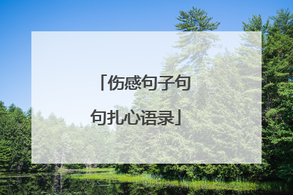 伤感句子句句扎心语录