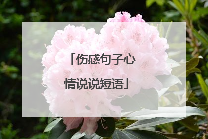 伤感句子心情说说短语