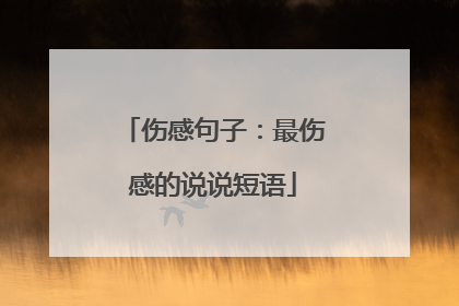 伤感句子：最伤感的说说短语