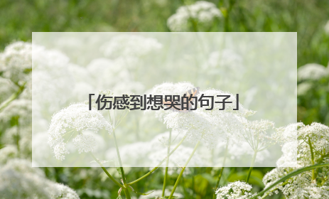 伤感到想哭的句子