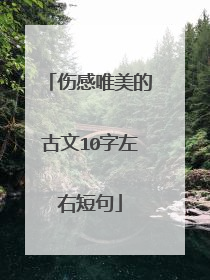 伤感唯美的古文10字左右短句
