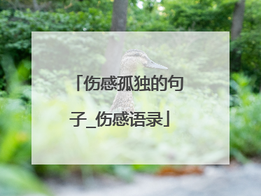 伤感孤独的句子_伤感语录