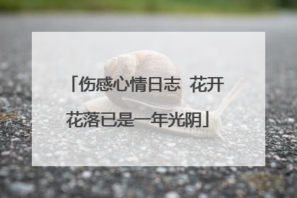 伤感心情日志 花开花落已是一年光阴