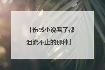 伤感小说看了都泪流不止的那种