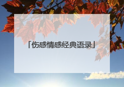 伤感情感经典语录