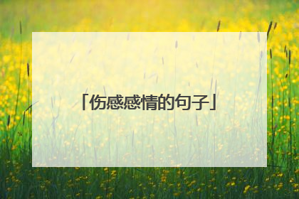 伤感感情的句子