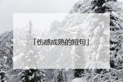 伤感成熟的短句