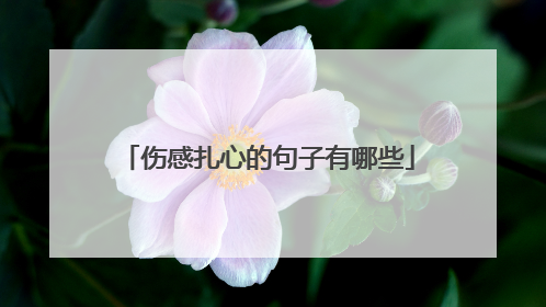 伤感扎心的句子有哪些