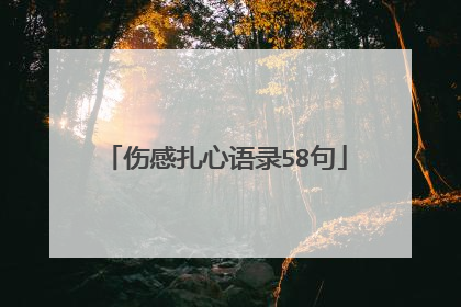 伤感扎心语录58句