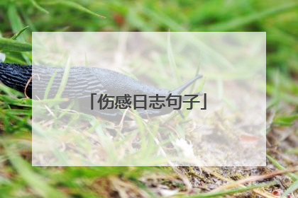 伤感日志句子