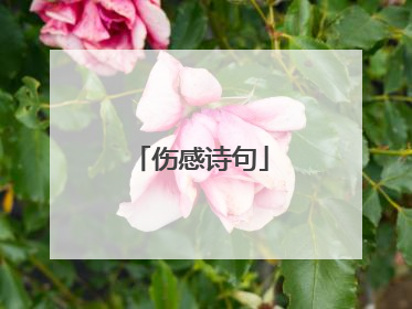伤感诗句