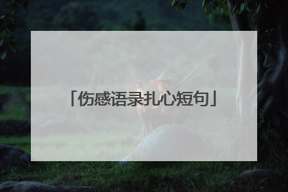 伤感语录扎心短句