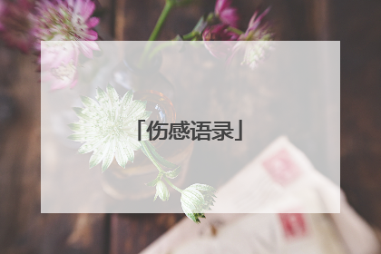 伤感语录