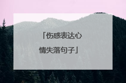 伤感表达心情失落句子