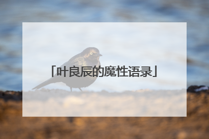 叶良辰的魔性语录