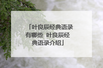 叶良辰经典语录有哪些 叶良辰经典语录介绍