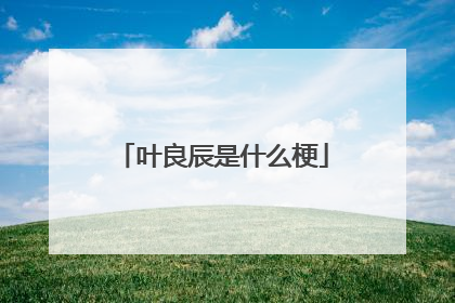 叶良辰是什么梗