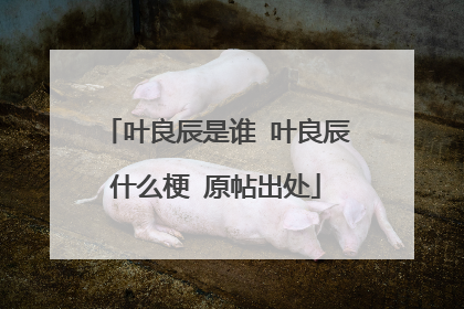 叶良辰是谁 叶良辰什么梗 原帖出处