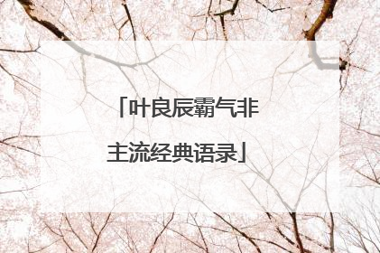 叶良辰霸气非主流经典语录