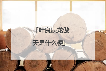 叶良辰龙傲天是什么梗