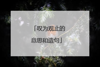 叹为观止的意思和造句