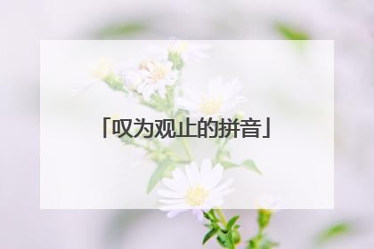 叹为观止的拼音