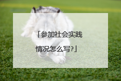 参加社会实践情况怎么写?