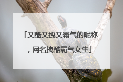 又酷又拽又霸气的昵称，网名拽酷霸气女生