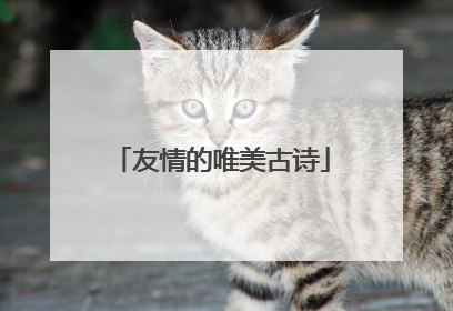 友情的唯美古诗