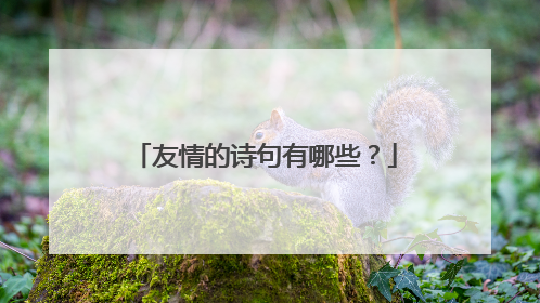 友情的诗句有哪些?
