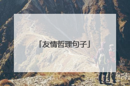 友情哲理句子