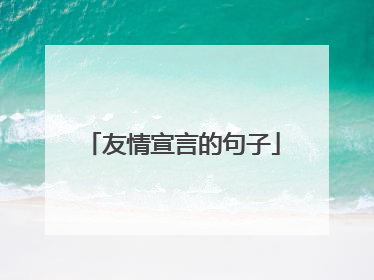 友情宣言的句子