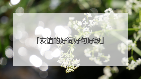 友谊的好词好句好段