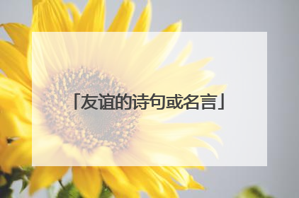 友谊的诗句或名言