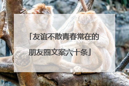 友谊不散青春常在的朋友圈文案六十条