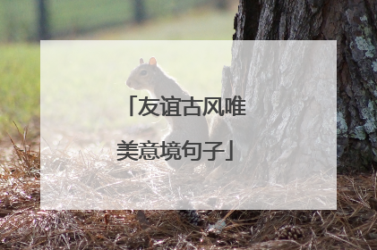 友谊古风唯美意境句子
