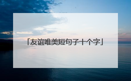 友谊唯美短句子十个字