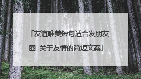 友谊唯美短句适合发朋友圈 关于友情的简短文案