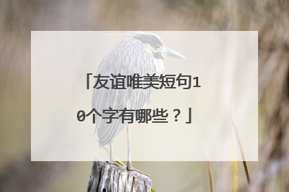 友谊唯美短句10个字有哪些？