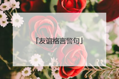 友谊格言警句