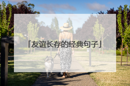 友谊长存的经典句子