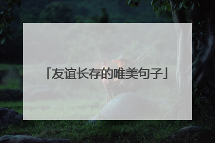 友谊长存的唯美句子