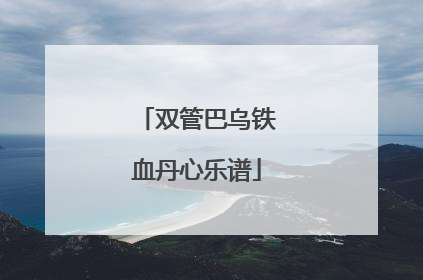 双管巴乌铁血丹心乐谱