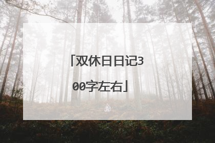 双休日日记300字左右