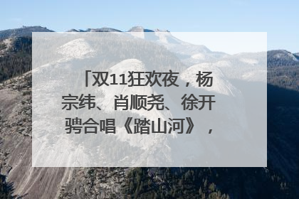 双11狂欢夜，杨宗纬、肖顺尧、徐开骋合唱《踏山河》，三人配合的如何？