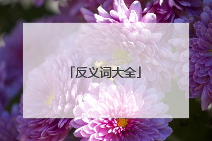 反义词大全