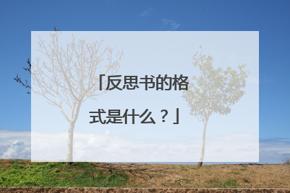 反思书的格式是什么?