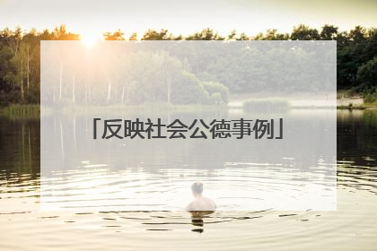 反映社会公德事例