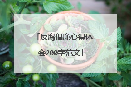 反腐倡廉心得体会200字范文