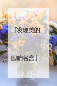 发现美的眼睛名言